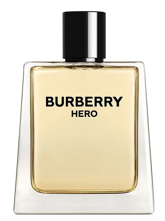 Hero for Men, EDT 100ml by Burberry