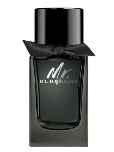 Mr Burberry for Men, EDP 100ml (New Packaging) by Burberry