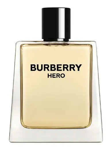 Hero for Men, EDT 100ml by Burberry