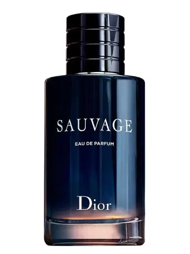 Sauvage for Men, EDP 100ml by Christian Dior
