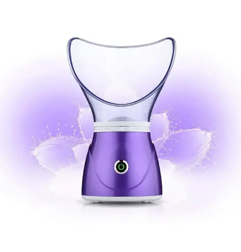 Heynz Facial Steamer